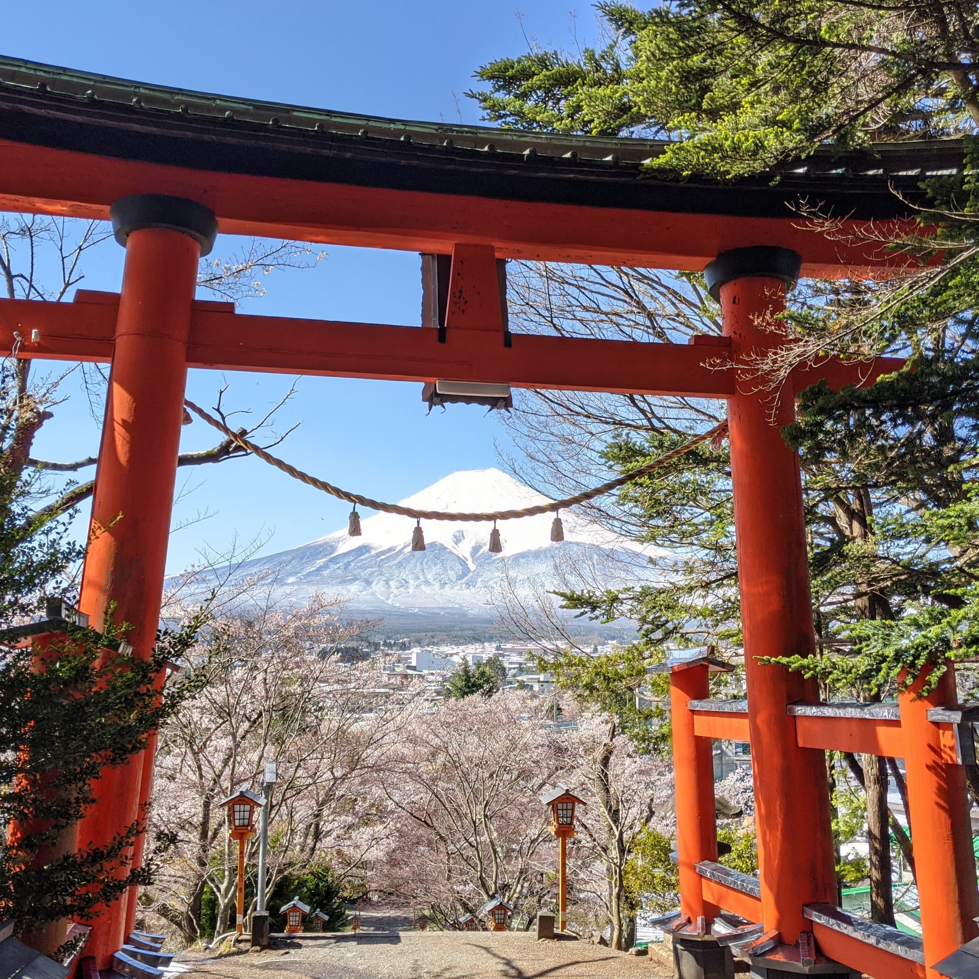 One day Mt. Fuji and Lake Kawaguchi by private car