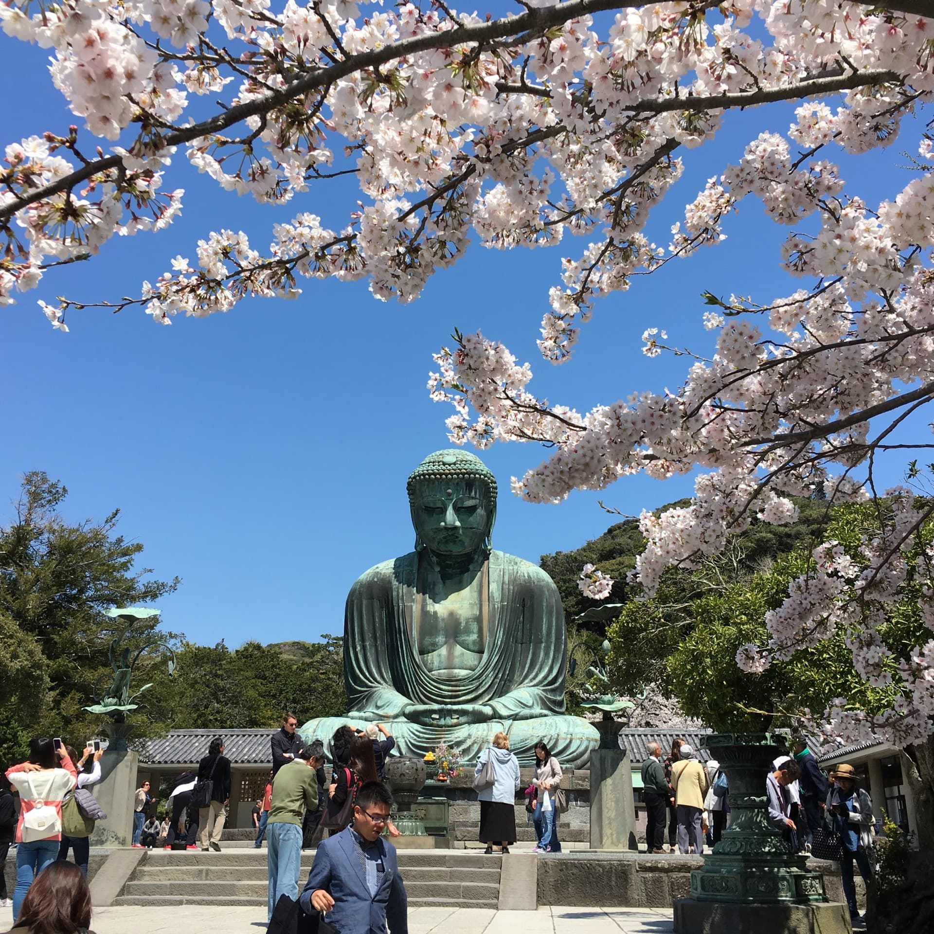 Private Car Tour to Kamakura, Enoshima, Yokohama from Tokyo